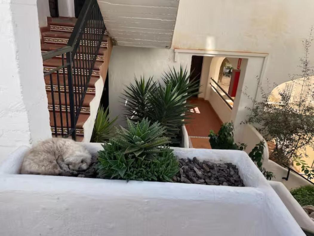 Pueblo Evita Apartment In Exclusive Holiday Complex Benalmádena Eksteriør billede